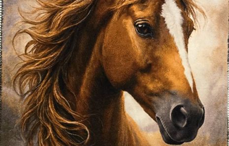 Noble Qashqa (Copper Blaze)